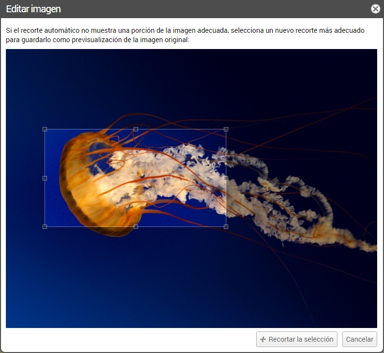 Recortar imagen de receta