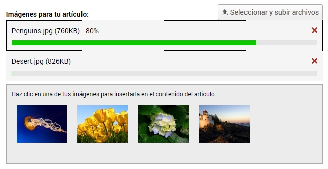 Subiendo im&aacute;genes