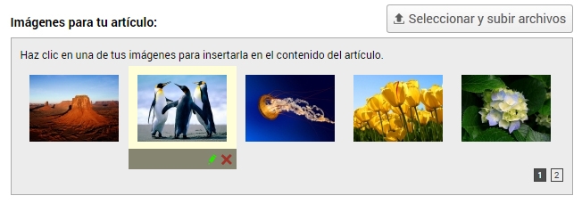 Editar im&aacute;genes subidas
