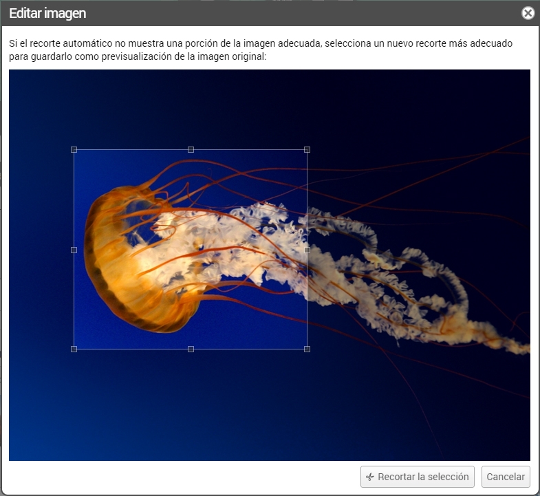 Editar imagen subida